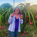 Mudas de Pitaia Poupa Vermelha 30 CM ( AUTO FÉRTIL) Promoção